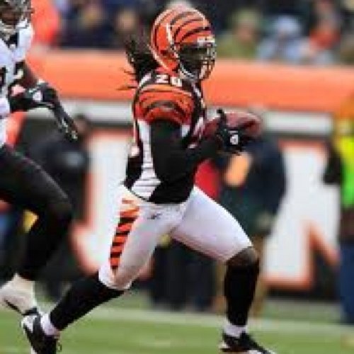 rn8355's profile picture. 