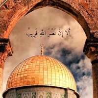 حمد المعمري (@halmamari95) Twitter profile photo