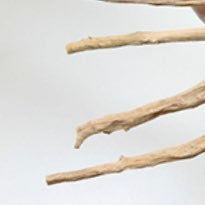 getumekon's profile picture. 20↑です