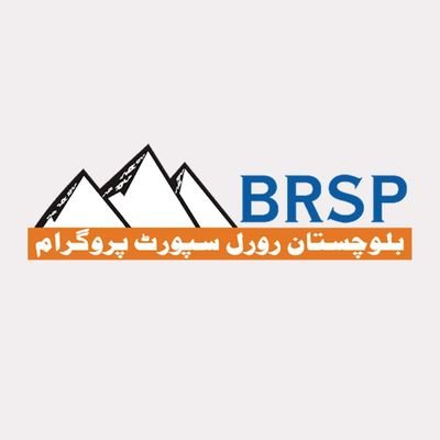 BRSP_Pakistan Profile Picture