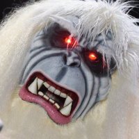 FATYETI96 (@fatyeti9617416) 's Twitter Profile