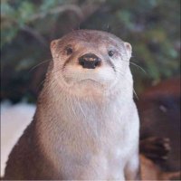 tommorerow (@tommorerow) 's Twitter Profile Photo tommorerow (@tommorerow) 's Twitter Profile Photo