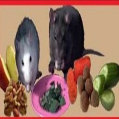 IamLeaf2's profile picture. I’m here for the job interview -(still not hired)