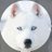 clamar65's profile image