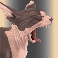 Alex 🇺🇦 (@1ncors) 's Twitter Profile