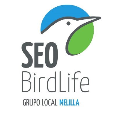 Twitter oficial del Grupo Local se SEO/BirdLife en Melilla