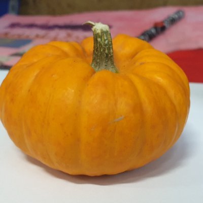 PUMPKIN