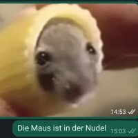 Nudelmaus (Frosti Grimgarth) (@nudelmaus1917) 's Twitter Profile Photo