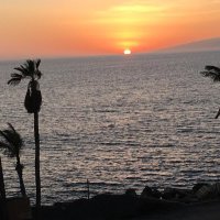 Mike Fox (@foxmike34166) 's Twitter Profile