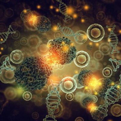 LIYUAN63798948's profile picture. 