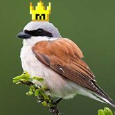 Mod Shrike - @jagexshrike.bsky.social (@jagexshrike) 's Twitter Profile