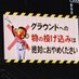 ねこつかい (@kylie1969) Twitter profile photo ねこつかい (@kylie1969) Twitter profile photo