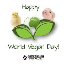 Charlie1510's profile picture. 