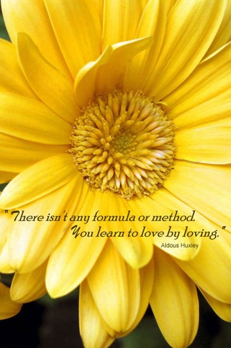 jannachristy's profile picture. 