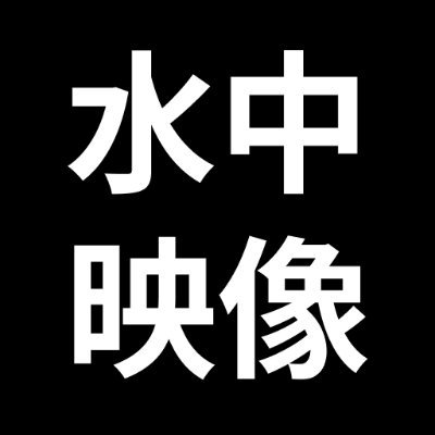 水中映像共有.comというサイトを運営しています。
水中映像版のグーグルストリートビューのようなサイトです。
投稿者様募集中です！
【Youtubeチャンネル】https://t.co/fIuaGdN9Sy
#釣り #ダイビング