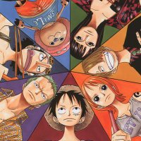 One Piece Screen Grabs(@StrawhatScreens) 's Twitter Profile Photo