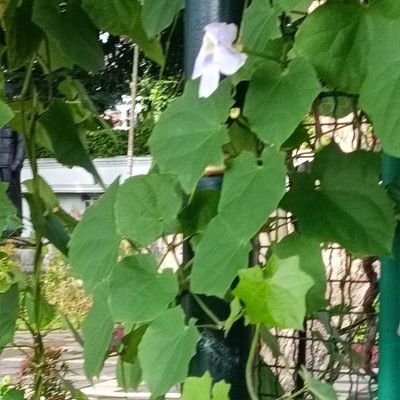 rjmeonly's profile picture. 