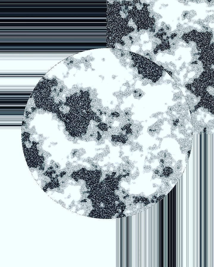 cinzie593354's profile picture. 