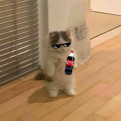 Umpkinni's profile picture. bro is slowly fading away from the universe-