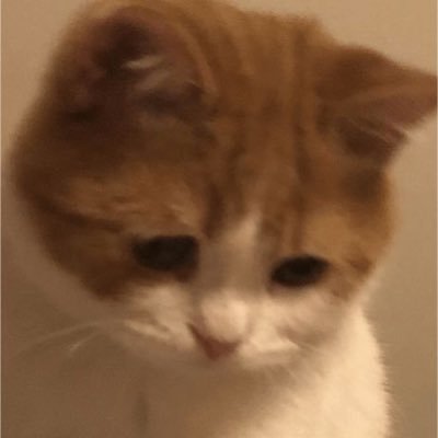 dxnmazd3's profile picture. 