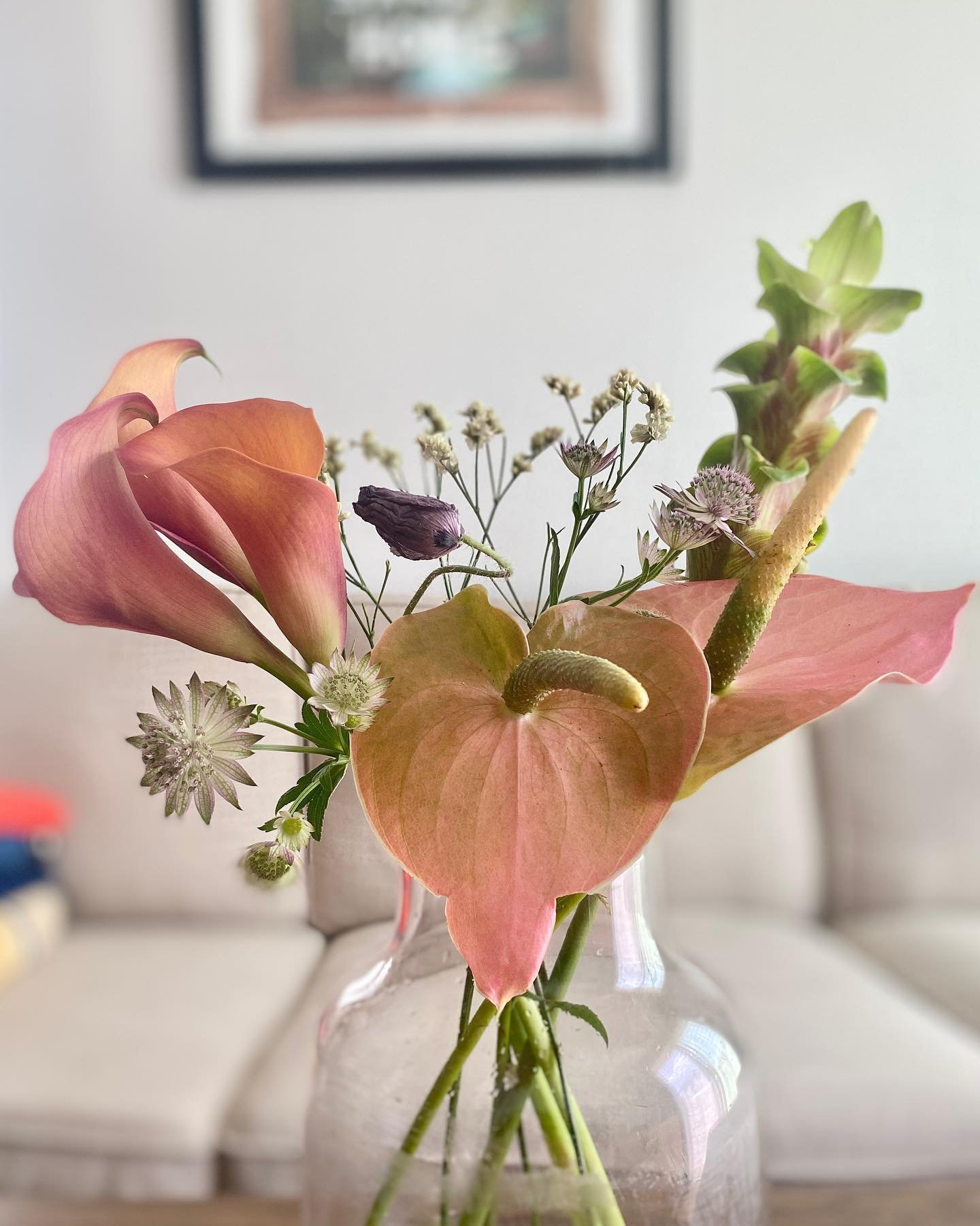 Cedisis168381's profile picture. Gods determine what you're going to be。