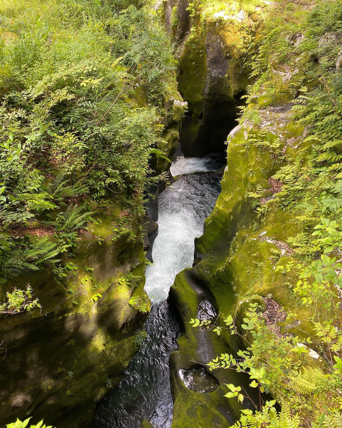 Tonne333917's profile picture. Gods determine what you're going to be。