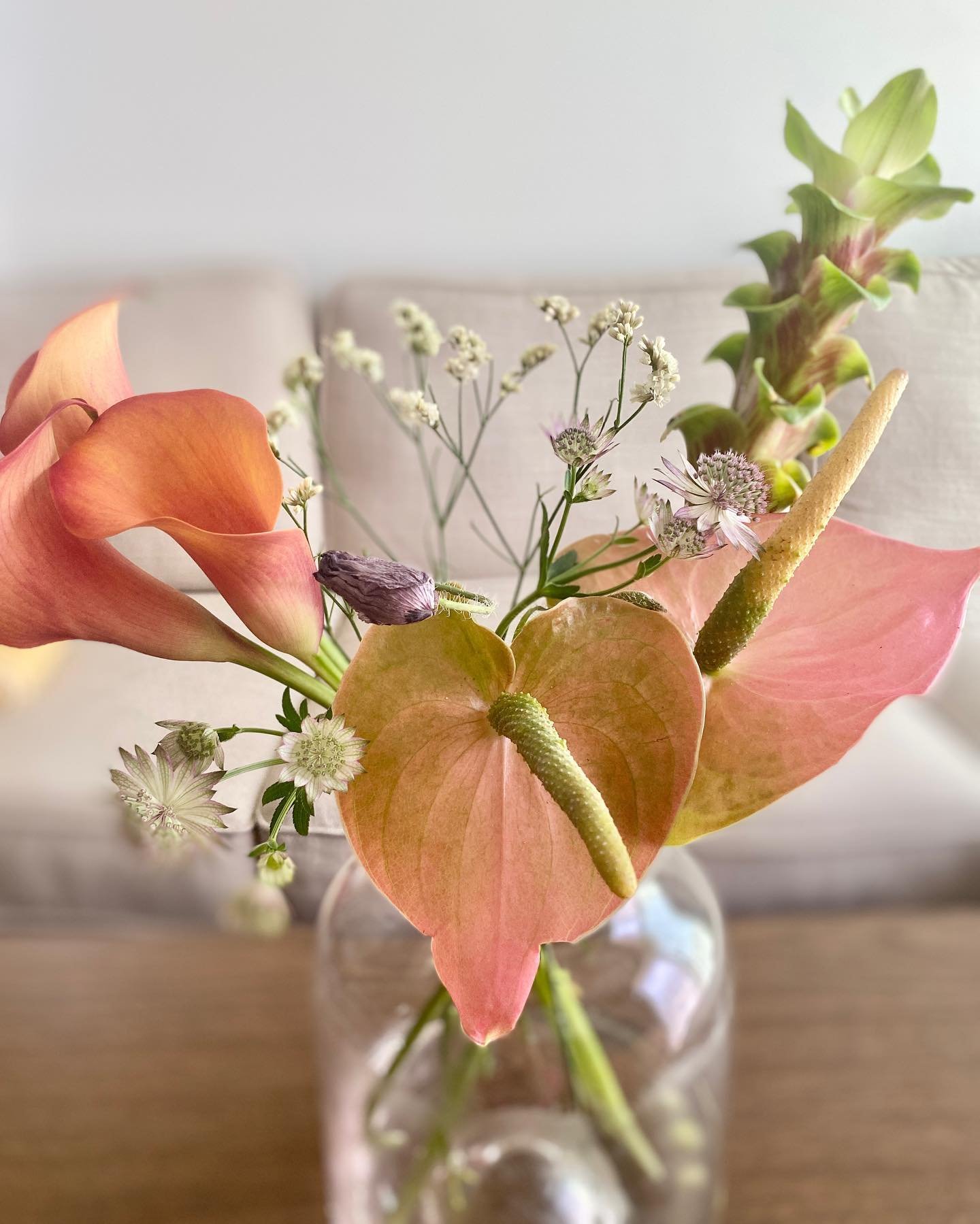 veadeth41341's profile picture. Gods determine what you're going to be。