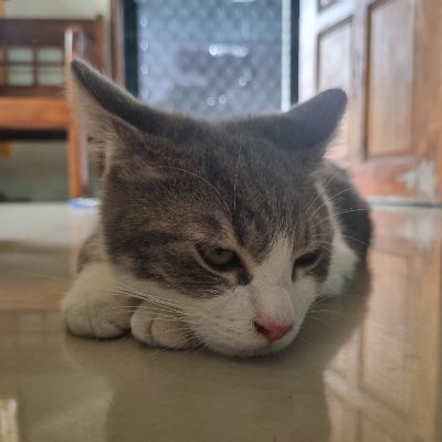 _altristan_'s profile picture. 