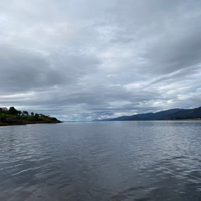 TerrySouthern7's profile picture. Always enjoying the things I follow