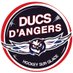 Les Ducs d'Angers (@DucsdAngers) Twitter profile photo