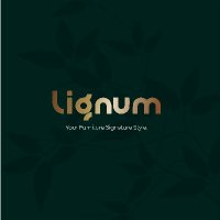 lignum(@lignum417529) 's Twitter Profile Photo