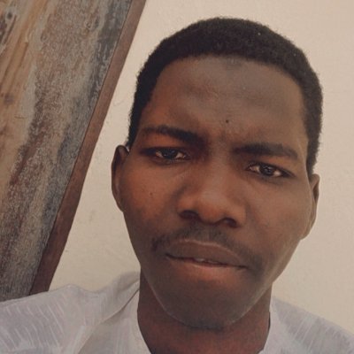 Shuaibu81898487's profile picture. DIGITAL HUSTLER😎