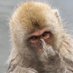 unknown (@montymelwani) Twitter profile photo