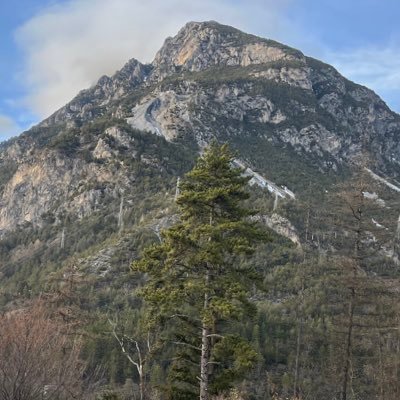 you67635301's profile picture. 