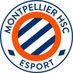 MHSC Esport (@MHSCEsport) Twitter profile photo