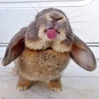bang poo06 (@bpoo0643741) 's Twitter Profile