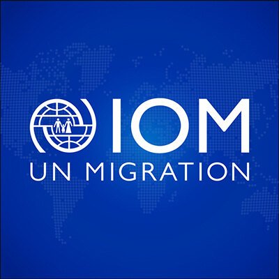 The account for IOM's work on Passenger Data