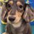 7HSHPU0qb48708's profile image