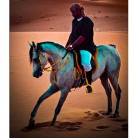 { ابــو سـنـعــوس } ABU SNWE (@snwse21) 's Twitter Profile Photo { ابــو سـنـعــوس } ABU SNWE (@snwse21) 's Twitter Profile Photo