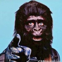 Ape Stax By Ajax🍌🦍🥇🥈🇵🇸🇨🇳🇯🇵🇷🇺🇮🇷(@ConCurrencyCoin) 's Twitter Profile Photo