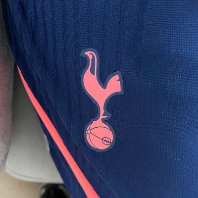 THFC ST Holder, Stunning Wife, 3 kids. Tell bad jokes badly! Financial & Exec Recruiter. RU looking for work, tweet me. UP THE SPURS COYS! UK Manager to @bobak9