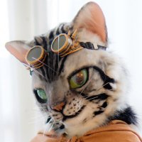 Maccha&Amour│Next→? (@bubucat222) 's Twitter Profile Photo Maccha&Amour│Next→? (@bubucat222) 's Twitter Profile Photo