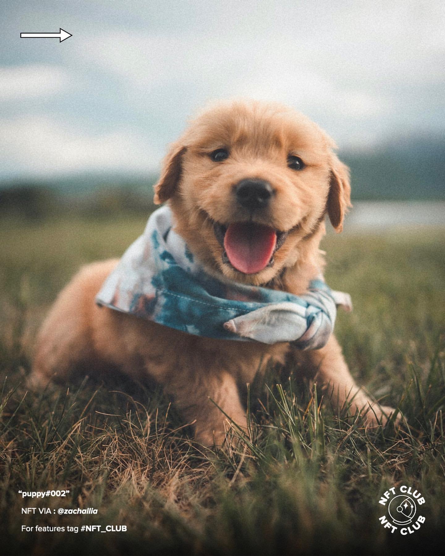 miguelbalm79273's profile picture. my name miguelbalmes