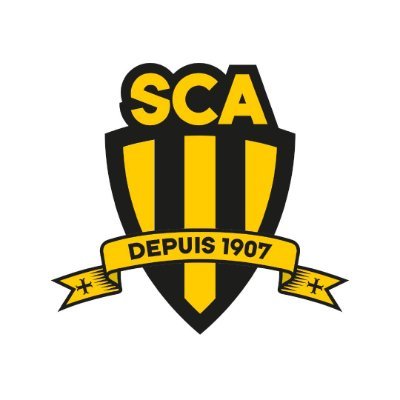 Compte officiel du Sporting Club Albigeois.
Pensionnaire du championnat de #Nationale 2024-2025 🐝