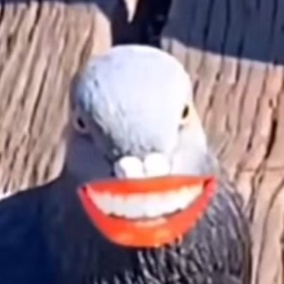 PumpkinMan1014's profile picture. 