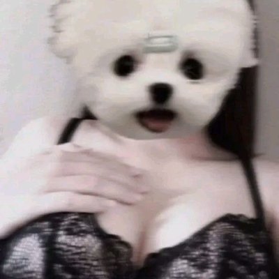 JK4049320041322's profile picture. 