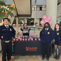 Thealdineffa (@aldineffa) 's Twitter Profile