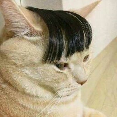 harumxn_'s profile picture. ✨️