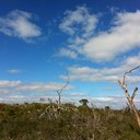 Barbara Corman - @Barbara_Corman - Twitter