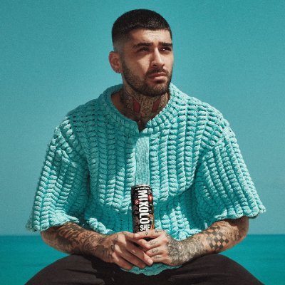 zaynlaxy Profile Picture